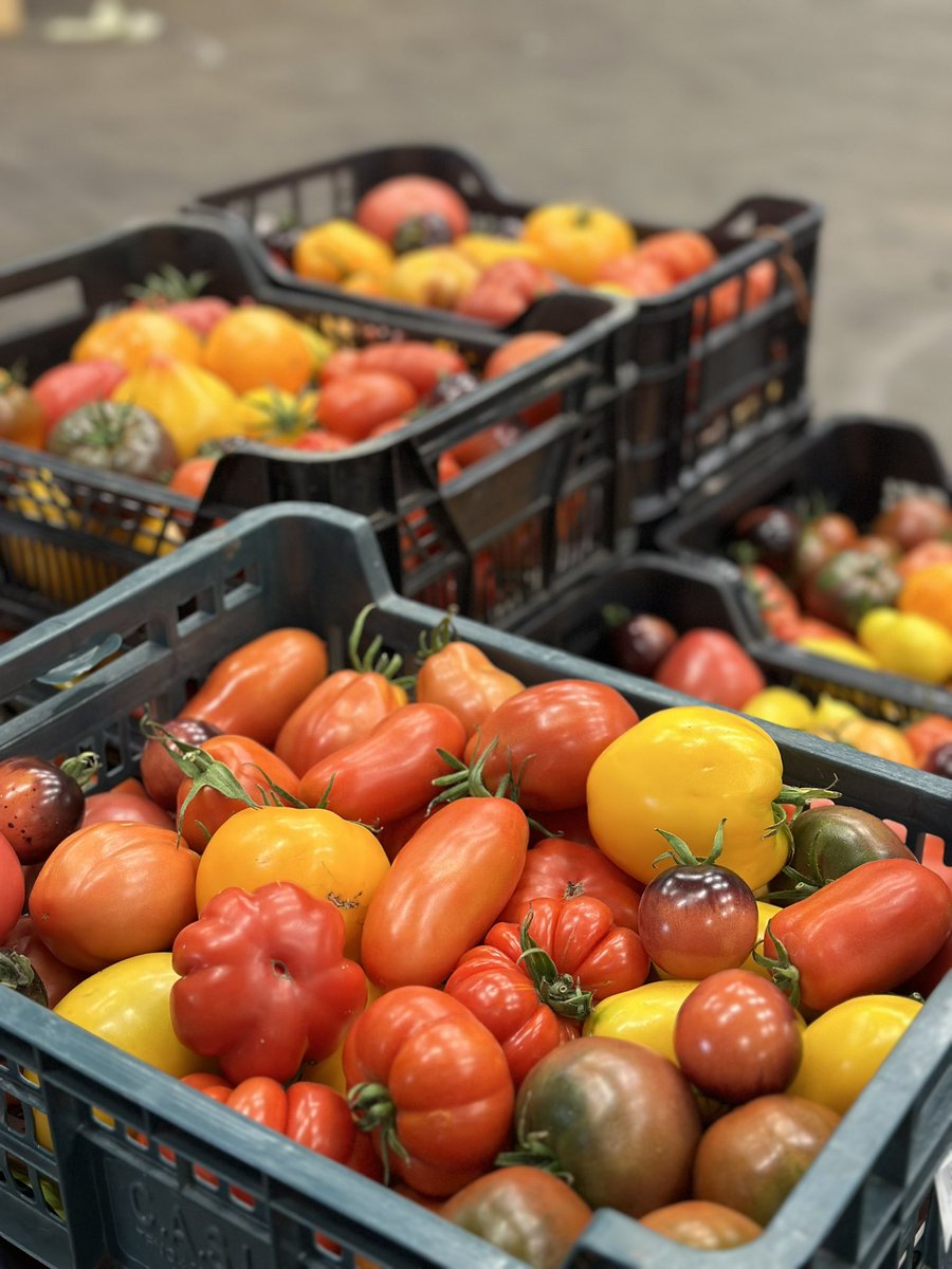 Augļu Serviss tweet media