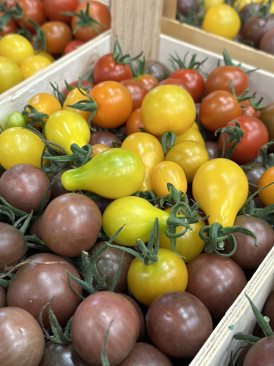 Augļu Serviss tweet media