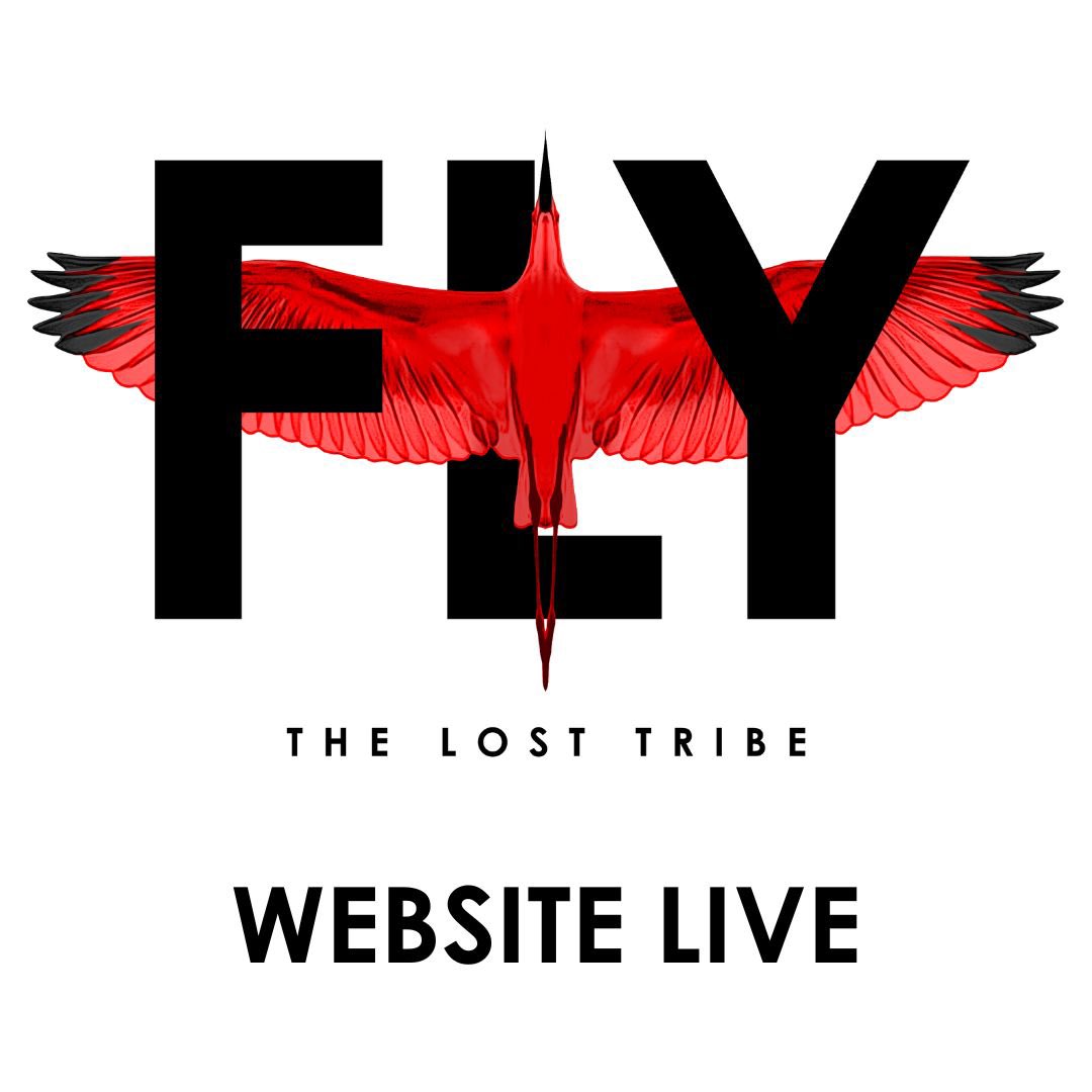 Our site is live!!!

losttribecarnival.com/our-costumes/