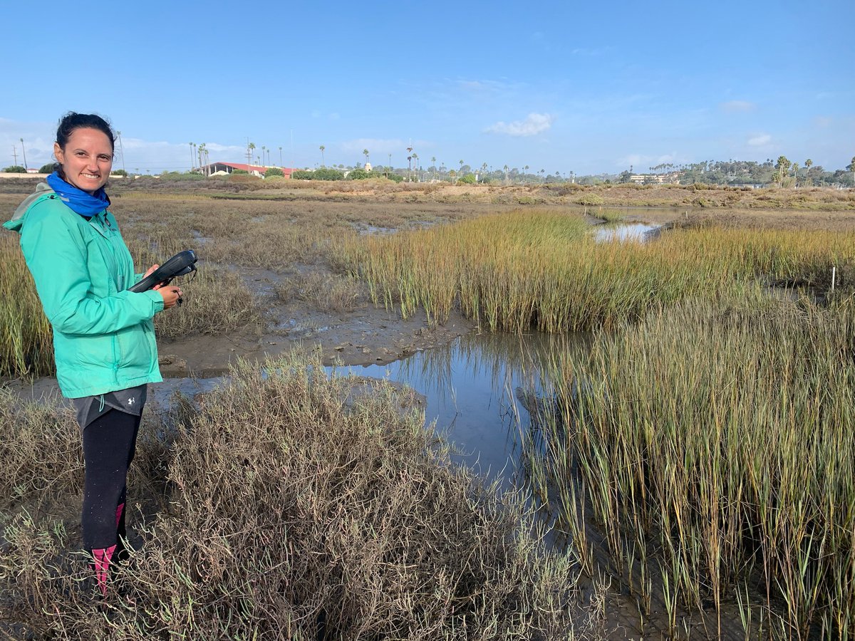 Dr. Elise Gornish (@restorecal) on Twitter photo Congrats @Rssmith218 - our 2nd place winner for the
<a href="/ESArestore/">ESA Restoration</a> early career publication award! Rachel studies the loss and recovery dynamics of coastal foundation species to better understand how to restore and manage coasts. Check out the winning paper: conbio.onlinelibrary.wiley.com/doi/full/10.11… Congrats @Rssmith218 - our 2nd place winner for the
<a href="/ESArestore/">ESA Restoration</a> early career publication award! Rachel studies the loss and recovery dynamics of coastal foundation species to better understand how to restore and manage coasts. Check out the winning paper: conbio.onlinelibrary.wiley.com/doi/full/10.11…