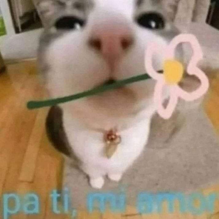 Emi_ly27's tweet photo. @Alita_24_ @Kurat_18 @FunNeuter @Gorditorta @_screen_ager @xJustLulu @DiegoArtista128 Awww feliz día d la amistad atrasado xd 💖💖 https://t.co/BYWo2TgNZe