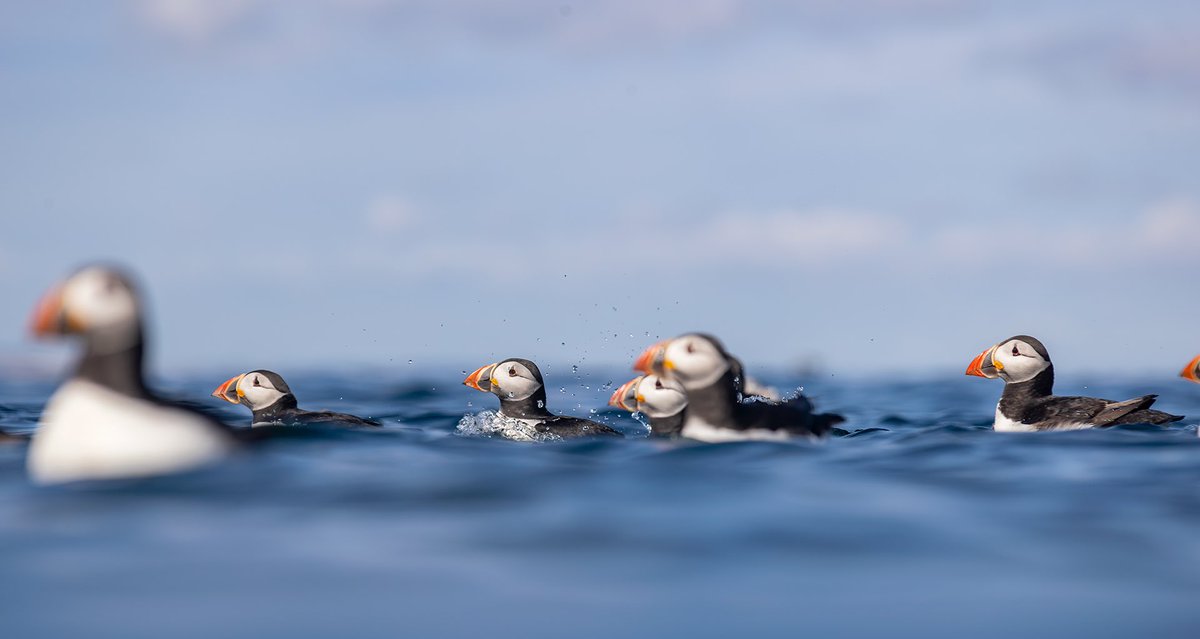 Brian Matthews tweet media