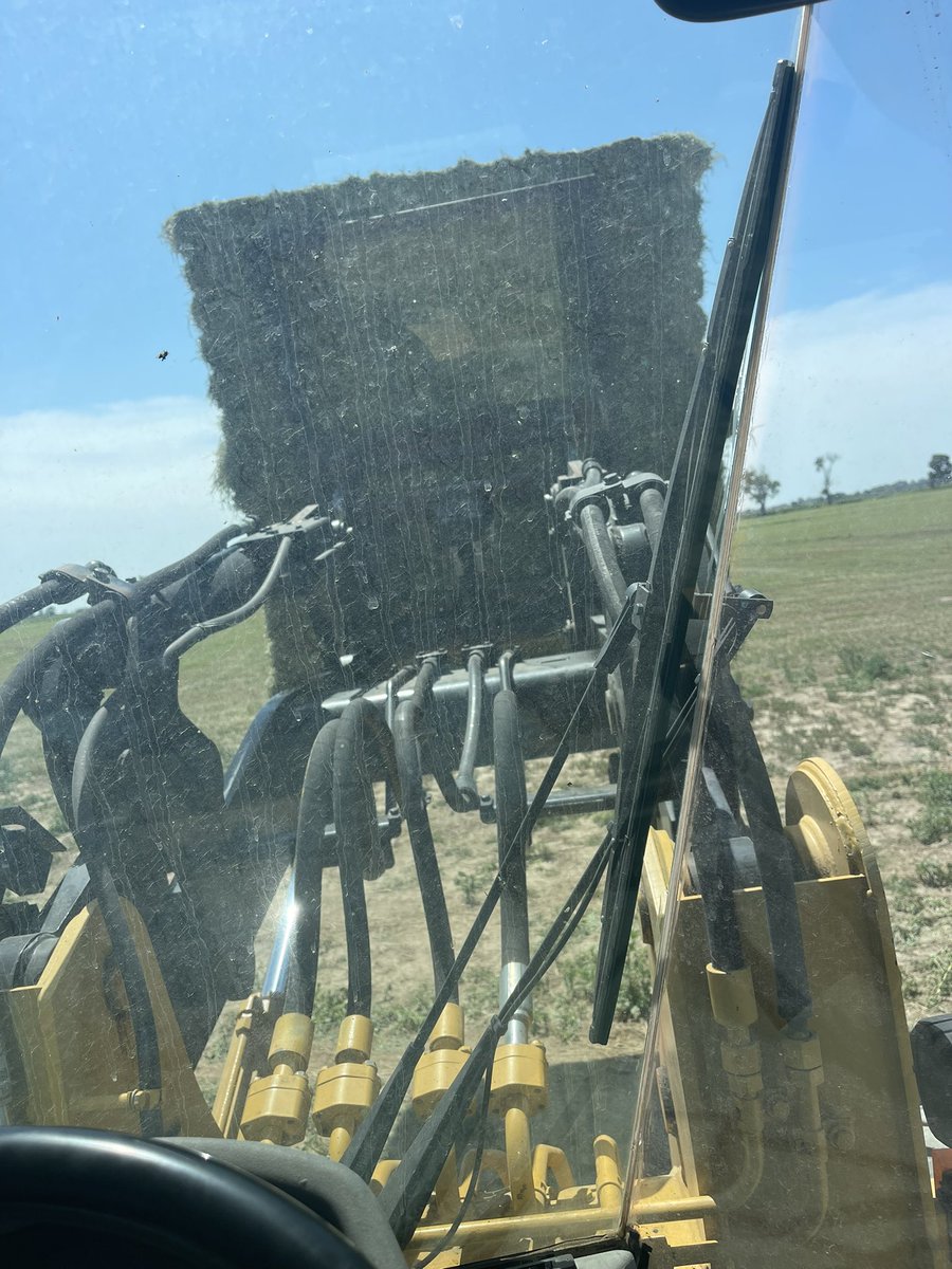 bwl82's tweet photo. Finally made some green bales.  Waiting on trucks to get them in the barn. https://t.co/Hcqg3Aas6G