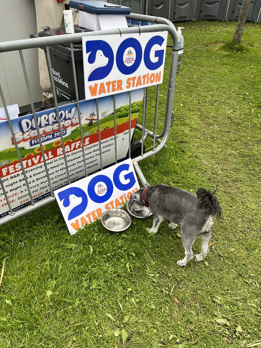 ScarecrowTime's tweet photo. Looking after the pooches at Durrow Scarecrow Festival.
#durrowscarecrowfestival #dsf23 #dogfriendly #dogfriendlyevent https://t.co/1tNZ9YQUgw