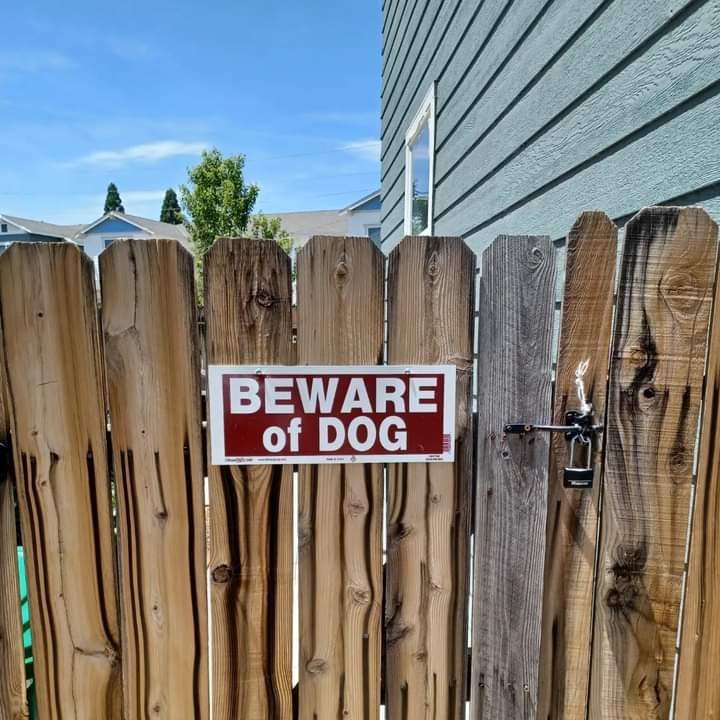paulharrod's tweet photo. #bewareofdogs 🐕🐕 #dogsoftwitter https://t.co/PUeGoulrAe