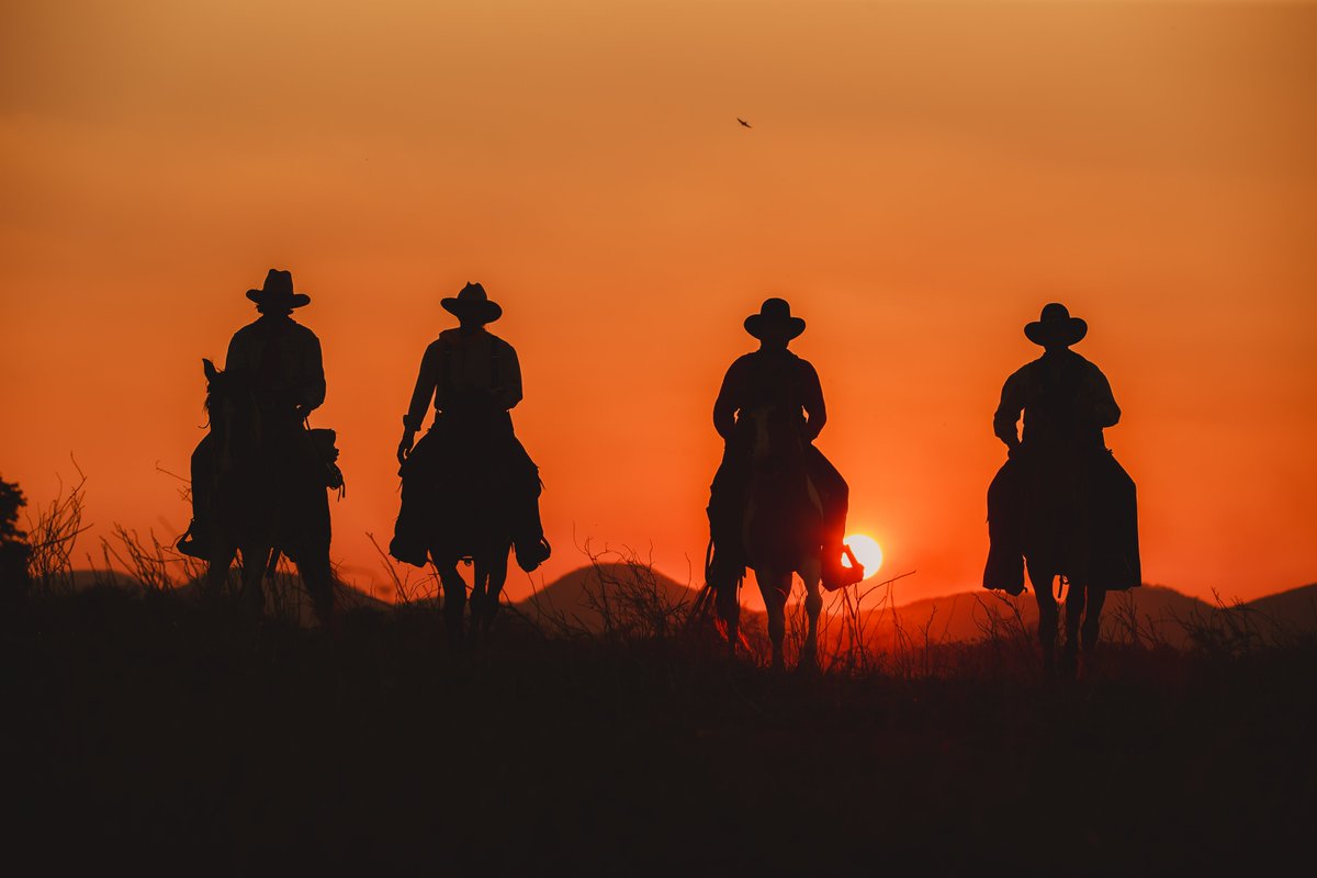 NC State Master of Management tweet media