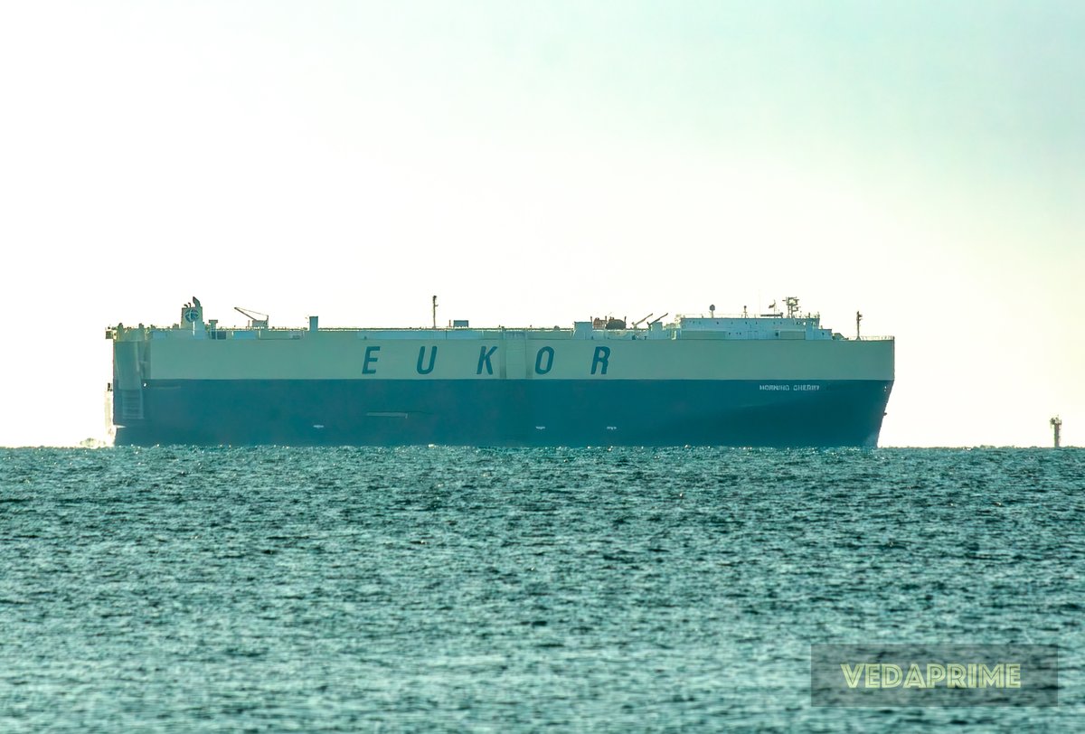 Vedaprime tweet media