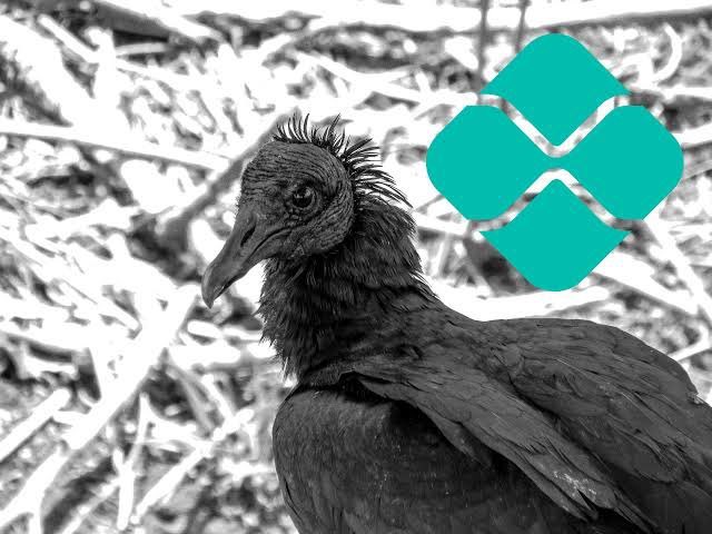 urubu das promoções tweet media