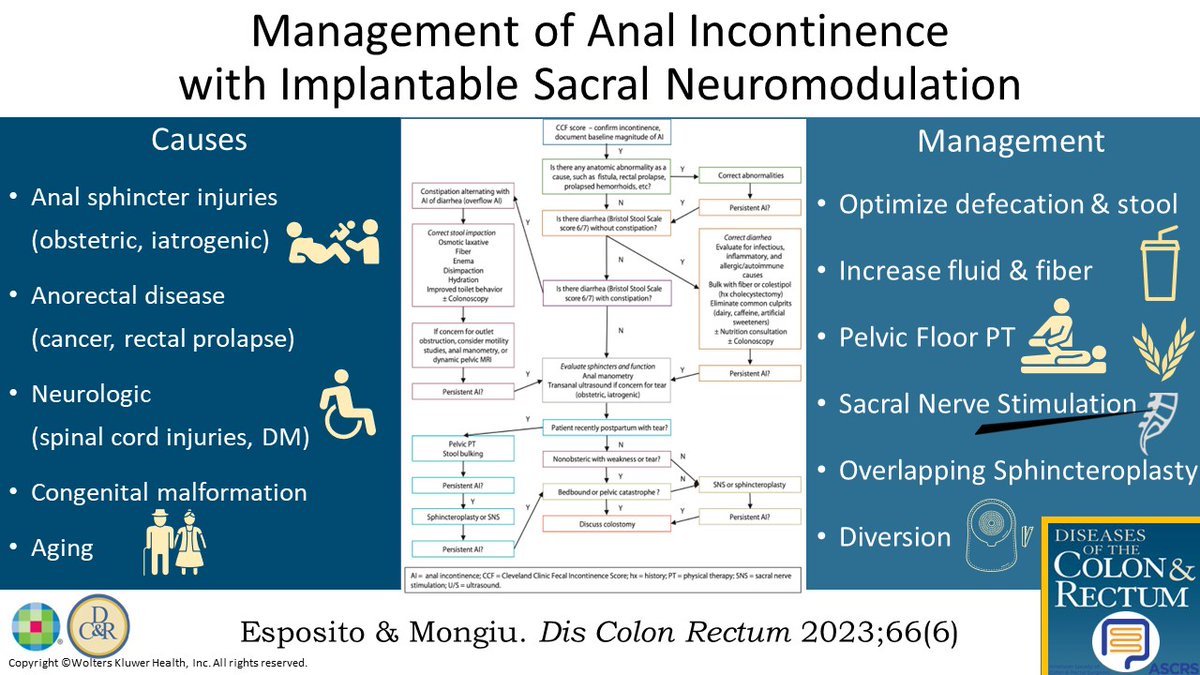 DCRjournal's tweet photo. #DCRJournal latest visual abstracts are OUT! 

Resident’s Corner: Management of Anal Incontinence with Implantable Sacral Neuromodulation: https://t.co/aGHLpu75py by @Boviethat @akmongiu @mattbobel

@JISBMD @ConorDelaneyMD @justinmaykel @KarimAlavi @KyleCologne @dubaicolorectal https://t.co/0EjPrRvaeT