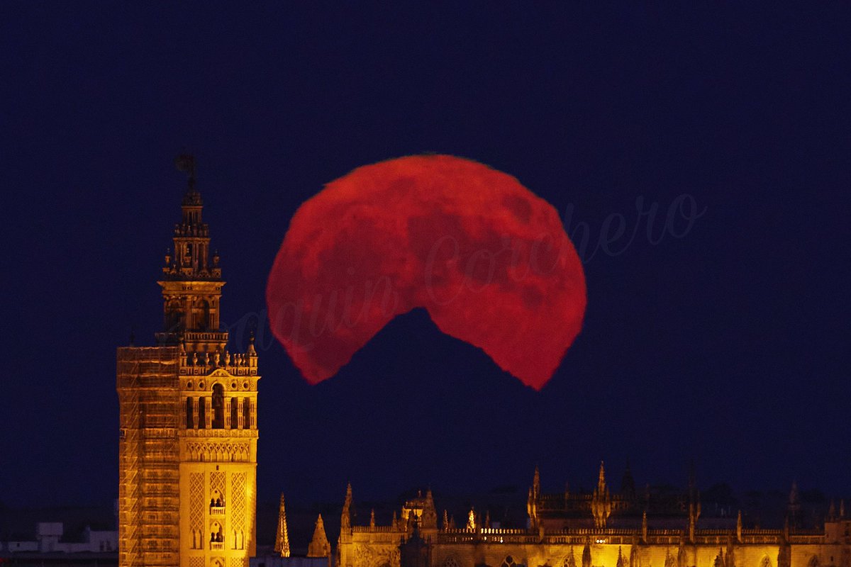 CorcheroArcos's tweet photo. La superluna del ‘esturión’ desde Sevilla.
.
.
#moon #SuperMoon #sevilla #esturion
#luna #lunaticos @Ayto_Sevilla
.
.
😉📸 @CorcheroArcos https://t.co/I5jmdOG1Fw