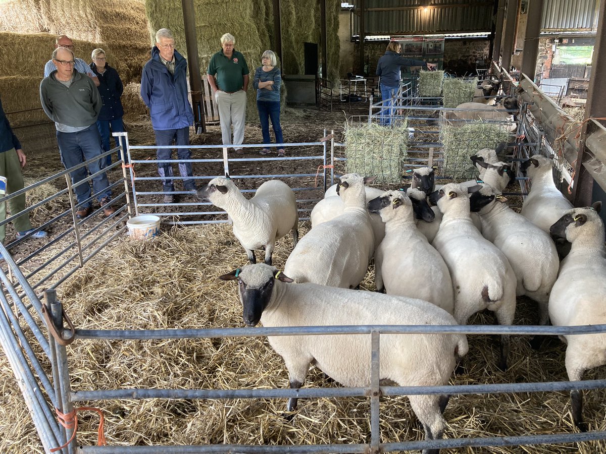 Samuel Boon tweet media