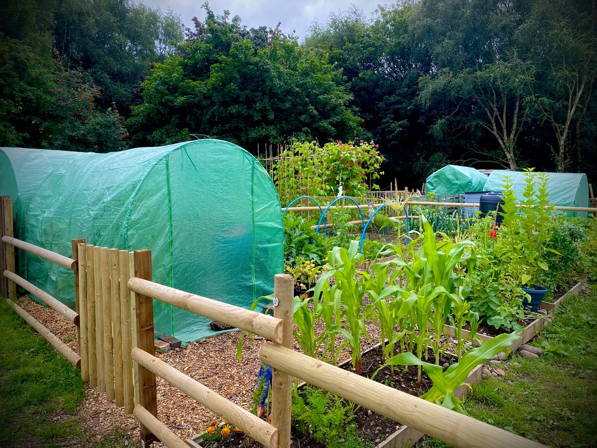 👩🏾‍🌾 New #Allotment plots available!

🍅 Grow #FruitAndVeg
🌹 Cultivate flowers
🐓 Keep #Hens & poultry
🗣️ Gather & #Socialise
🍖 Grill & chill

Apply online at Wharfside.org

#Hammerwich #Burntwood #Walsall #Lichfield #Brownhills