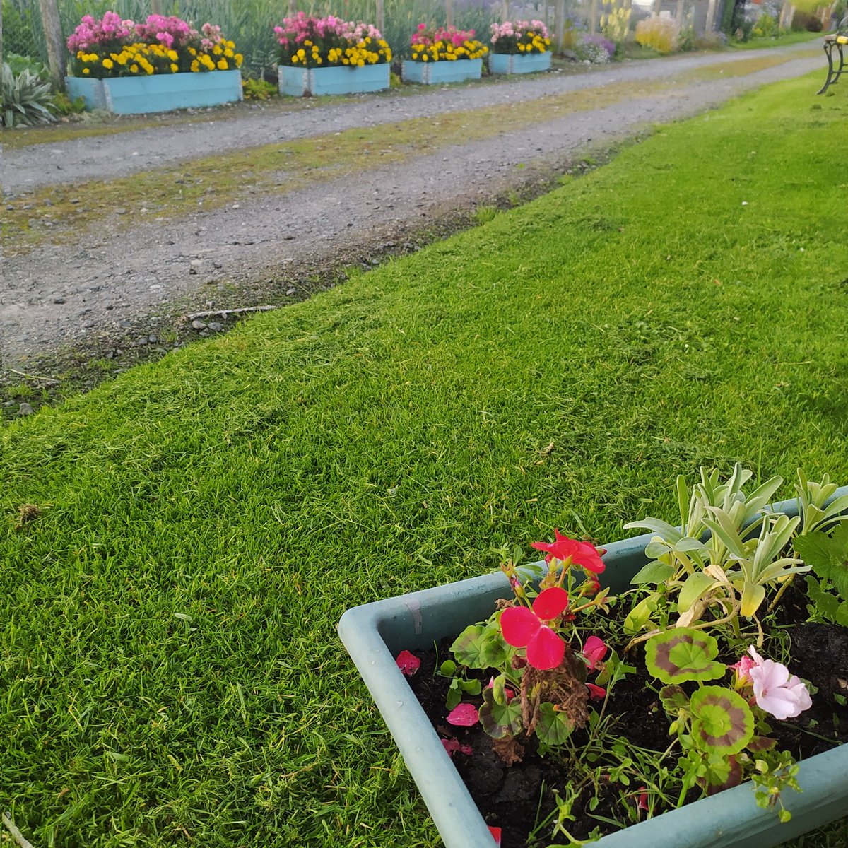 Not all heroes wear capes, some push lawnmowers! Thank you to all our volunteers at @SlopefieldAA. All helps to keep our site the beautiful place it is. #growyourown #allotment #slopefield #loveyourplot #community #communitygrowing #keepslopefieldbeautiful