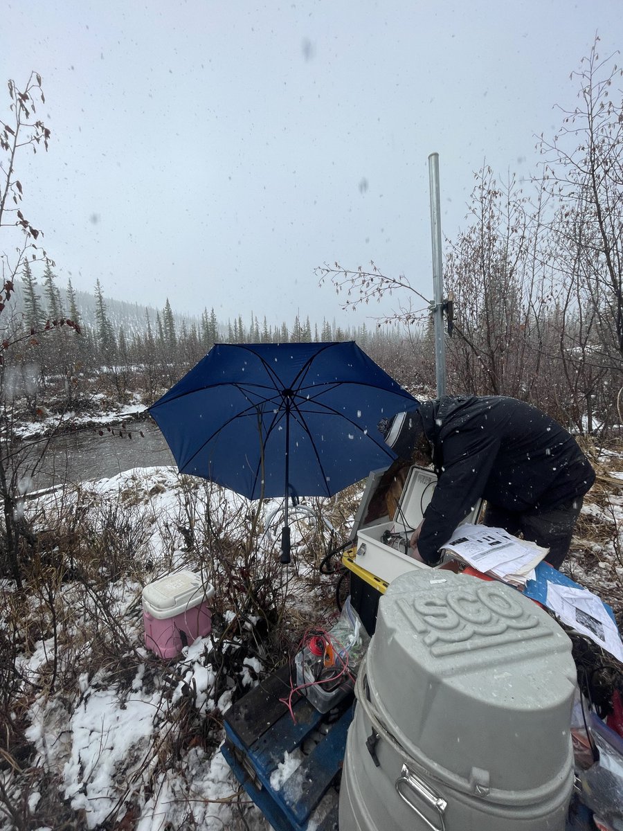 CavaianiJake's tweet photo. @queenofpeat @ArcticWebb Cooler Barbie has been a staple in the Harms lab for many generations @BioGeoJacob….glad to see it branching out to explore peat with @ArcticWebb https://t.co/vwOjZiiwxC