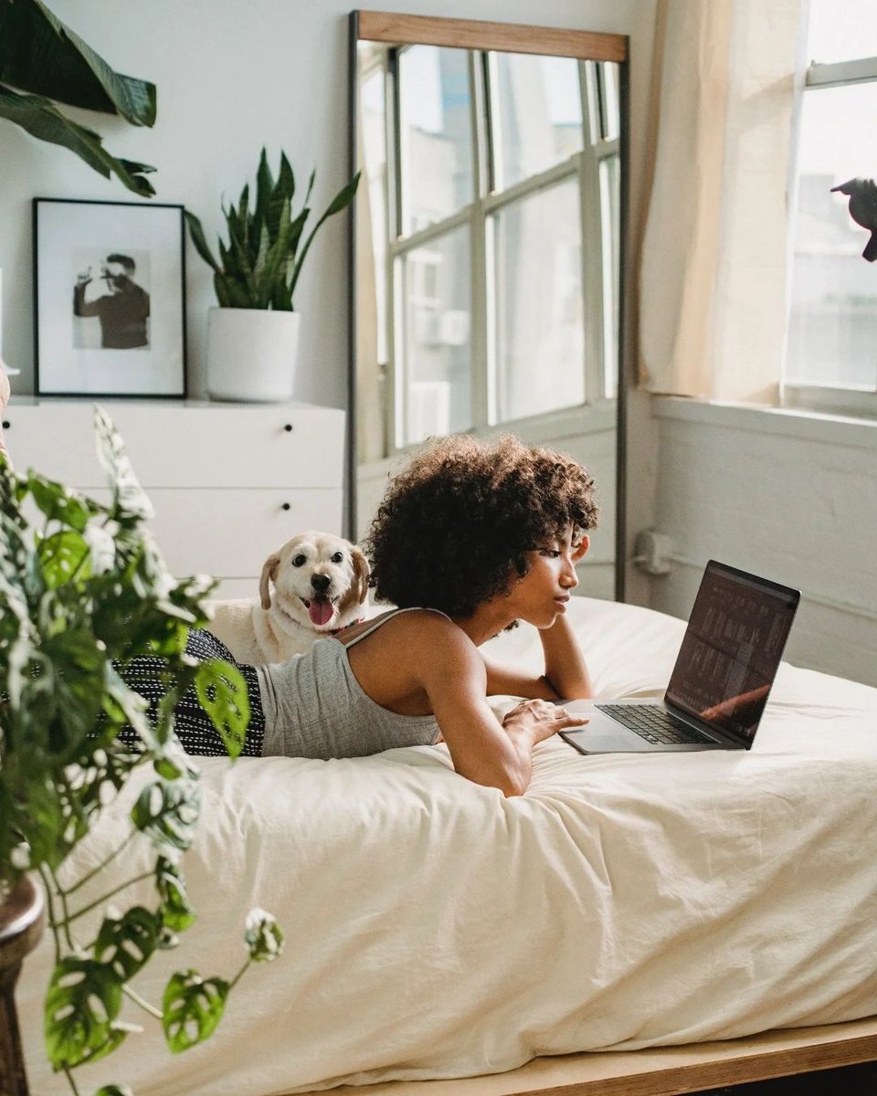 SmithTeamswfl13's tweet photo. Forget about Netflix and chill. How about Zillow and chill? Let's spend the weekend browsing dream homes together! 📺🏡 #RealEstateDateNight #TheSmithTeam #KatieSmith #RealEstate #realtor #FortMyers #LaidBackLuxuryLifestyle https://t.co/Smx3qib837