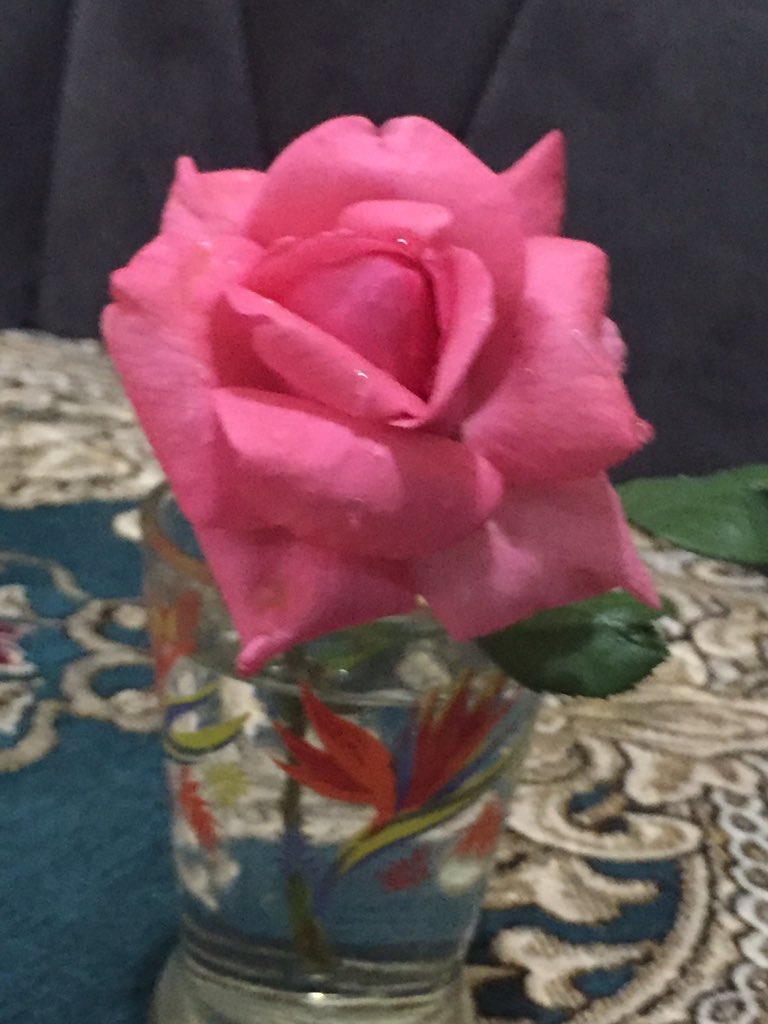 47 وبس بس مش بلعمر #اعترف_كم_عمرك