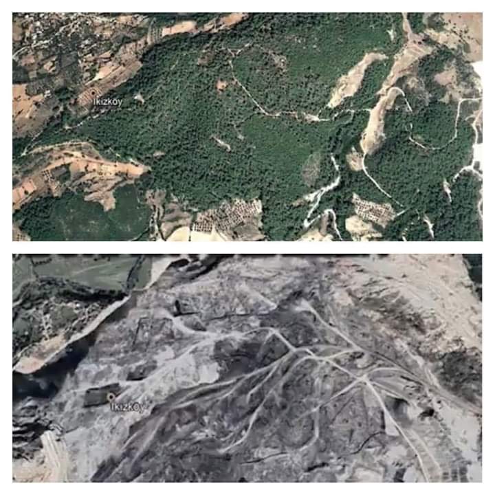 Akbelen işte size ,eski ve yeni hali ( yeşil  eski) kapitalist şirket küle çevirmiştir. Akbelen talan edilemez