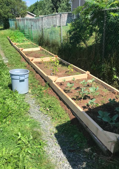 Ripley15Davis's tweet photo. New garden beds! @HillsidePark1 https://t.co/qTs9tbJBbi