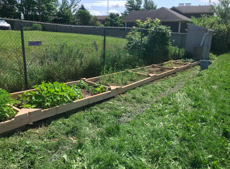 Ripley15Davis's tweet photo. New garden beds! @HillsidePark1 https://t.co/qTs9tbJBbi