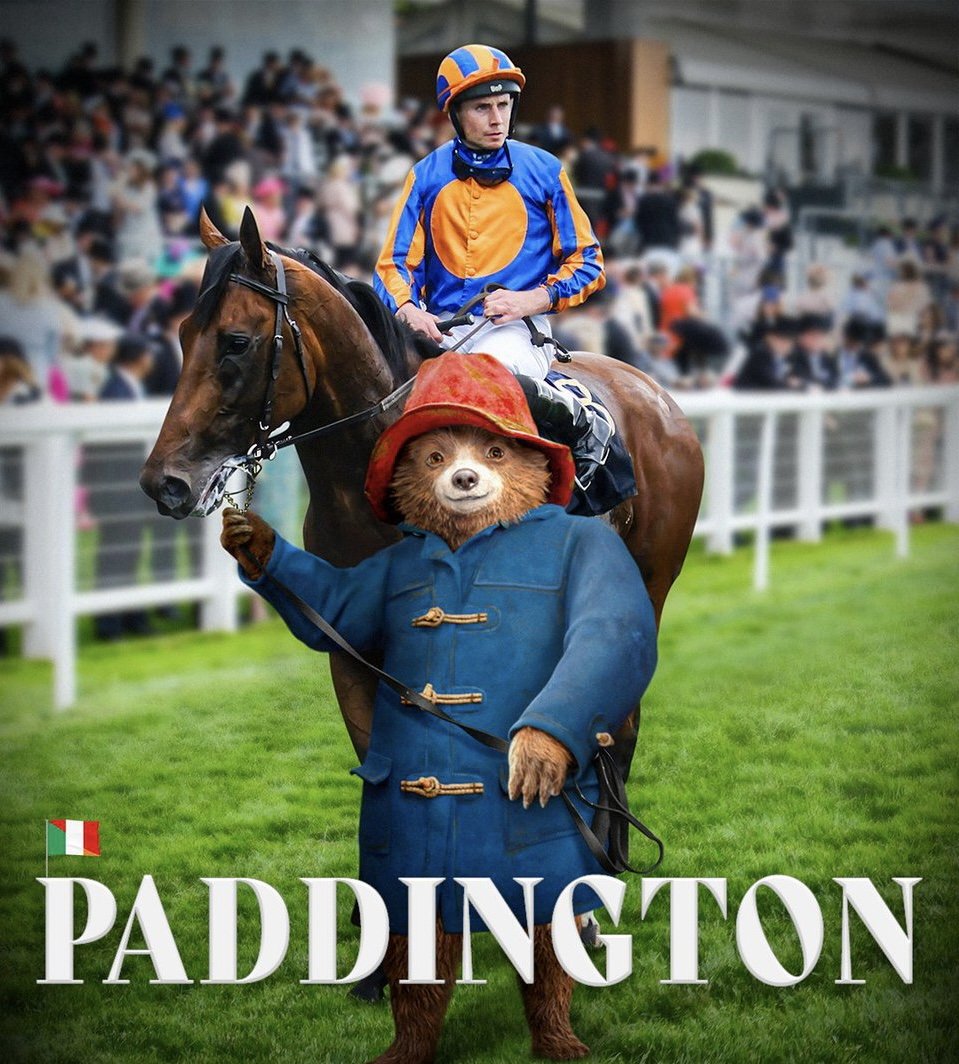 💷 If PADDINGTON &amp; KILCRUIT Both WIN for IRELAND tomorrow: 🇮🇪

I'll give £500 Cash to One of YOU Lucky People!! 🥇

To Enter: 👇

1️⃣ RT this Tweet
2️⃣ Follow <a href="/racingblogger/">Stephen R Power</a>

🚨 instagram.com/racingblogger 👀

#GloriousGoodwood #win #Galway
