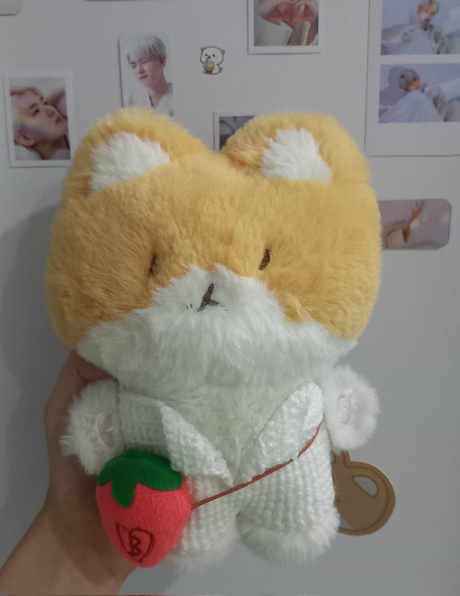 cutesooo12's tweet photo. برای تولگیم لباس درست کردم و خوشحال ترینم>.<
ولی هنوز کامل نیست باید روش توت فرنگی های ریز ریز بدوزم👀
از لباسای خودمم بیشتر واسش ذوق دارم🚶

@weareoneEXO 
@B_hundred_Hyun @layzhang https://t.co/qffo26i9Dw