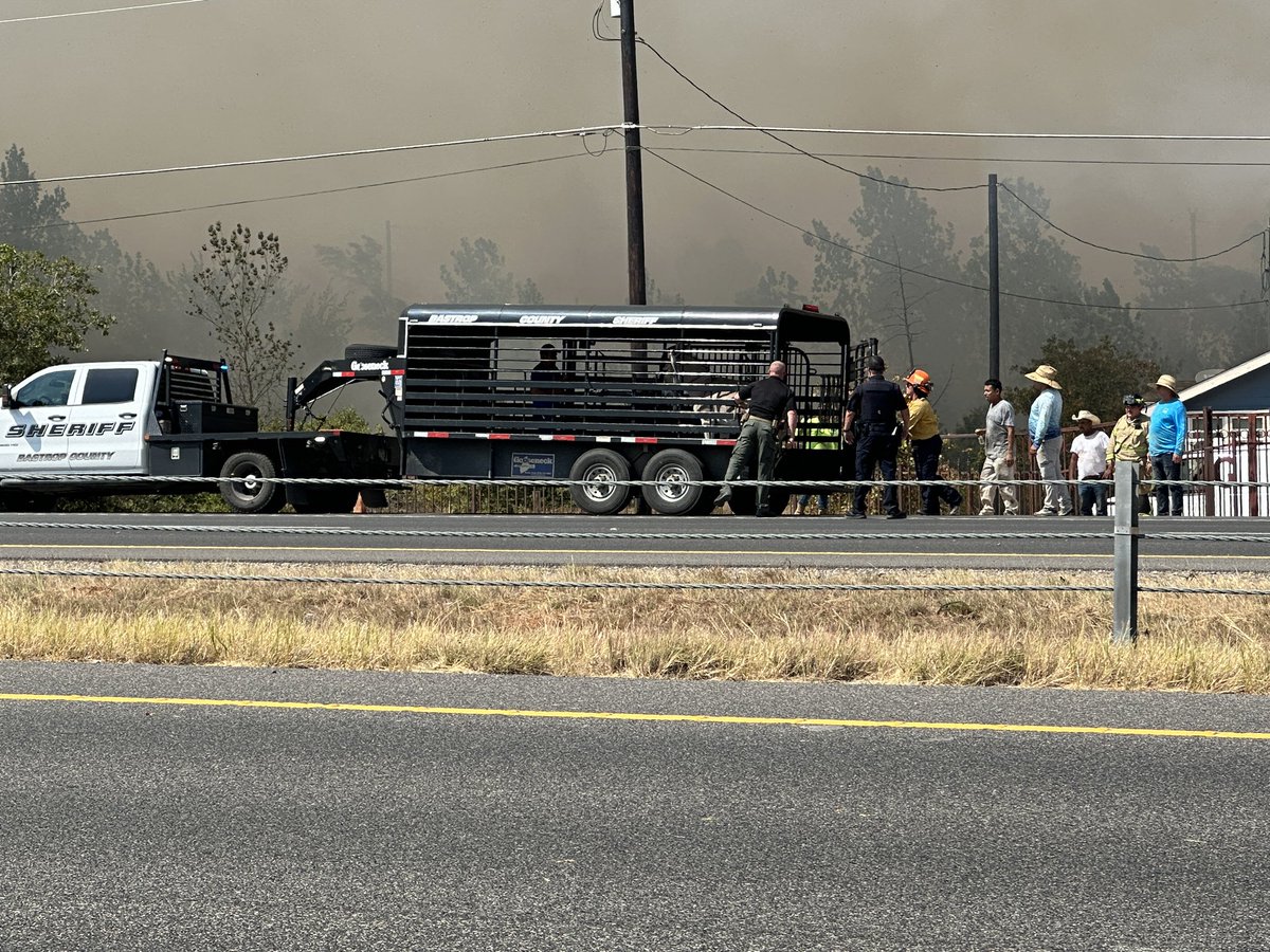 RemadnaKXAN's tweet photo. Livestock on the property across from us are being evacuated as this fire in Bastrop continues. There are literally thousands of grasshoppers flying out of the woods across the street. @KXAN_News https://t.co/0wE85uSaTT