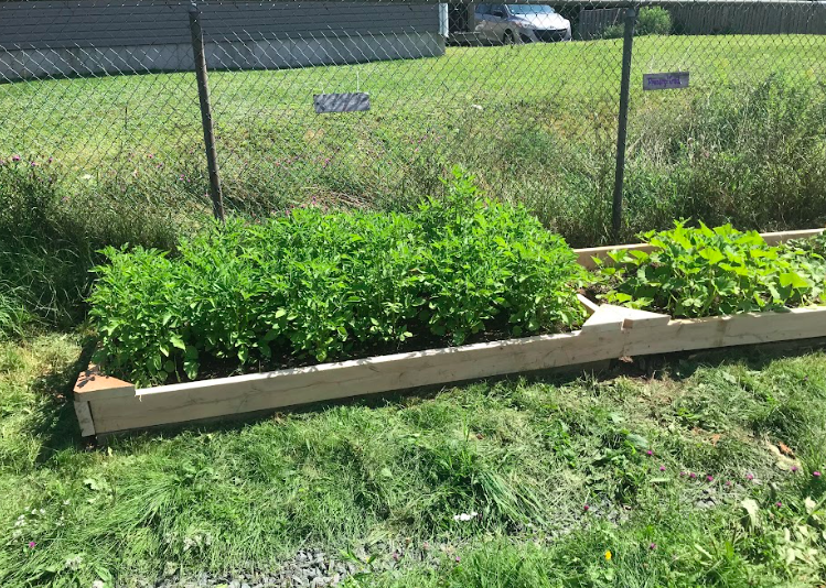 Ripley15Davis's tweet photo. New garden beds! @HillsidePark1 https://t.co/qTs9tbJBbi