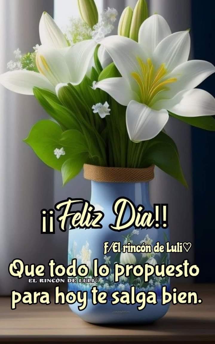 Catalina_Isaura's tweet photo. Bendecido día para todos 🙏 🍀 🌷 🌻 🌼 💐 🙏 https://t.co/BzfXiLD0y0