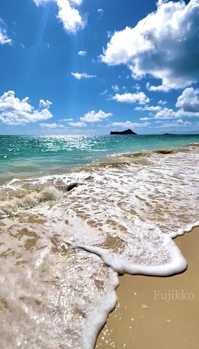 hawaiifujikko's tweet photo. 🏝️ Hawaii

　𓂃𓏸𓐍🐠 𝑅𝑒𝓁𝒶𝓍𝒾𝓃𝑔 𝓉𝒾𝓂𝑒 🫧𓂃𓈒𓂂𓏲💚 https://t.co/RNkKVq6HbY