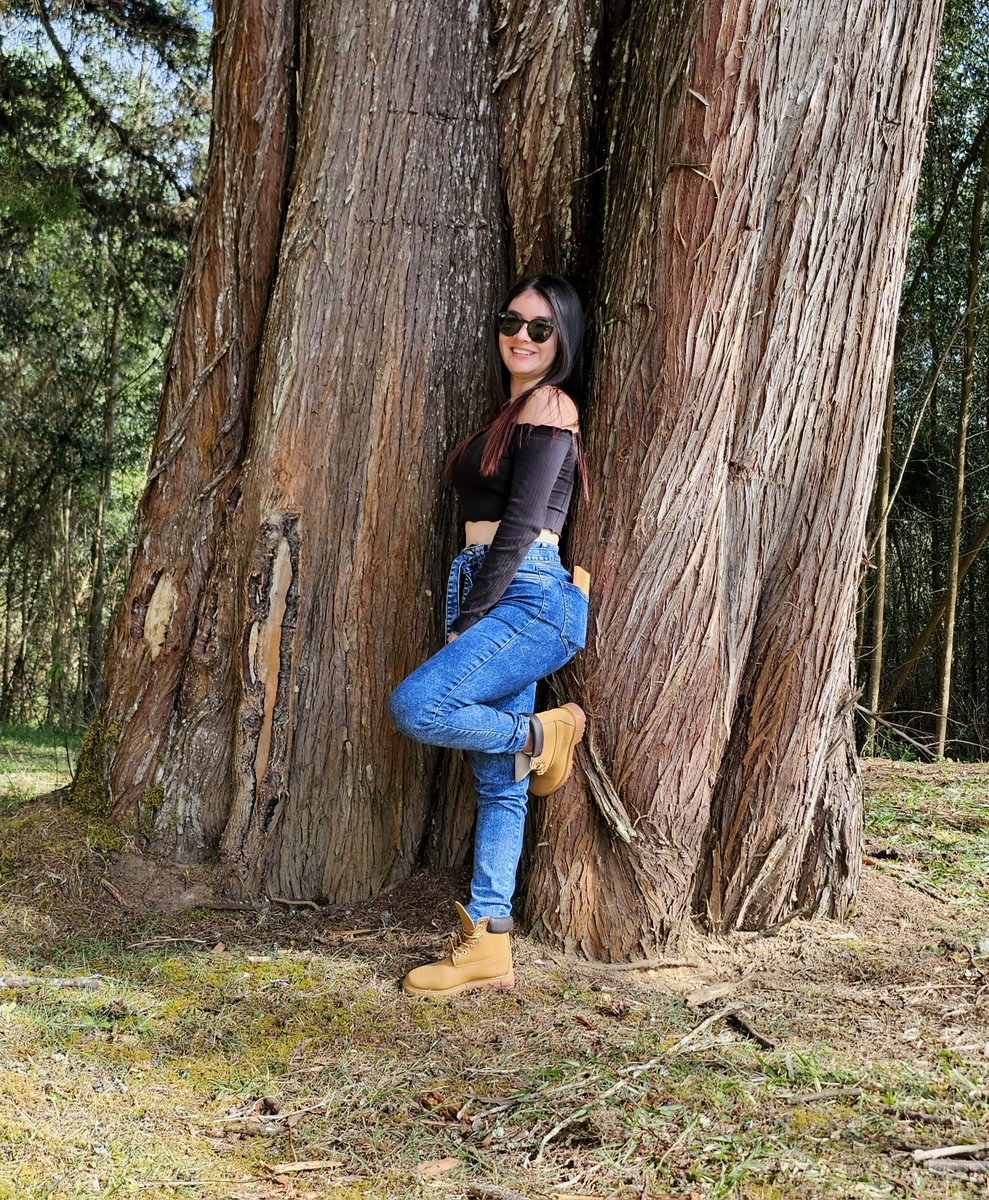 Sharon ICG tweet media