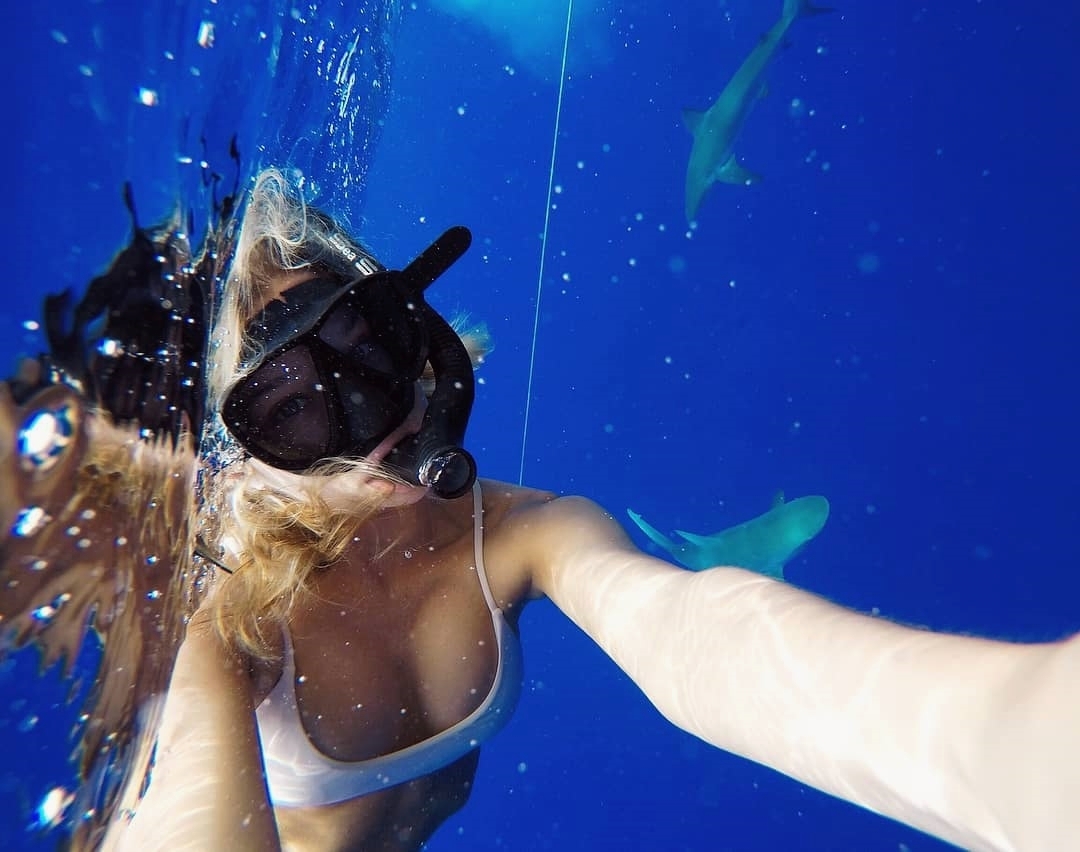 scubadivingyard's tweet photo. How's this selfie
.
#divingkohtao #divingisfun #divingtrip #divingislife #divingtime #divingstreet #divingshop #divingdeep #divinggear https://t.co/kqYxxoBq4c