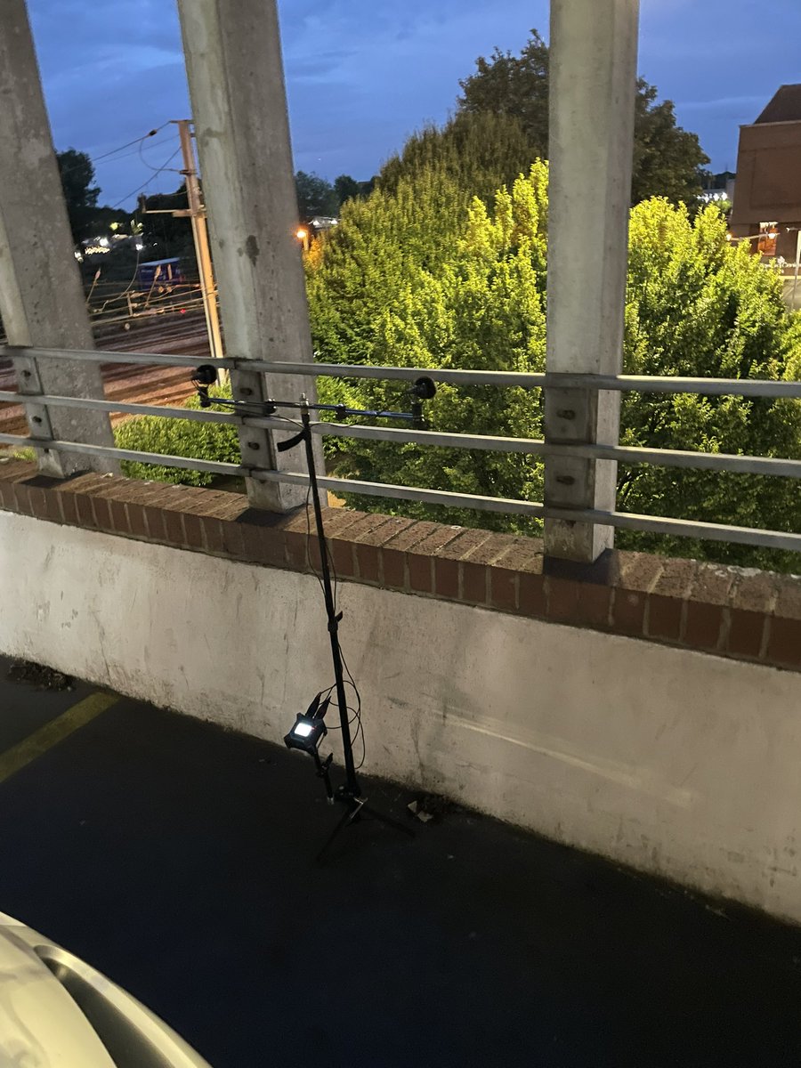 Tony Gibson tweet media