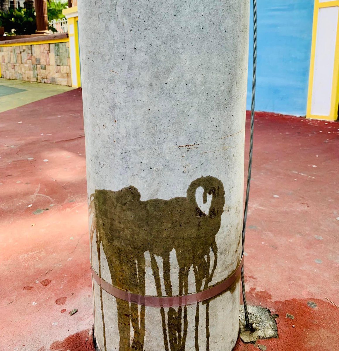 LuisjFlowers's tweet photo. Estaba hoy tranquilamente en el parque cuando un chuchito llegó a marcar el territorio y de paso hizo un autorretrato. En estos salvajes tiempos todos somos artistas y perros románticos. https://t.co/J3uJPGEMEn