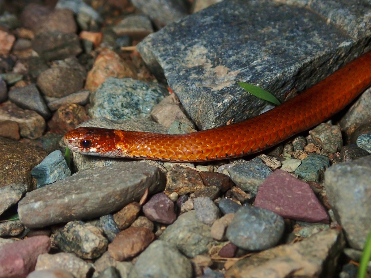 Hunter Stevens tweet media