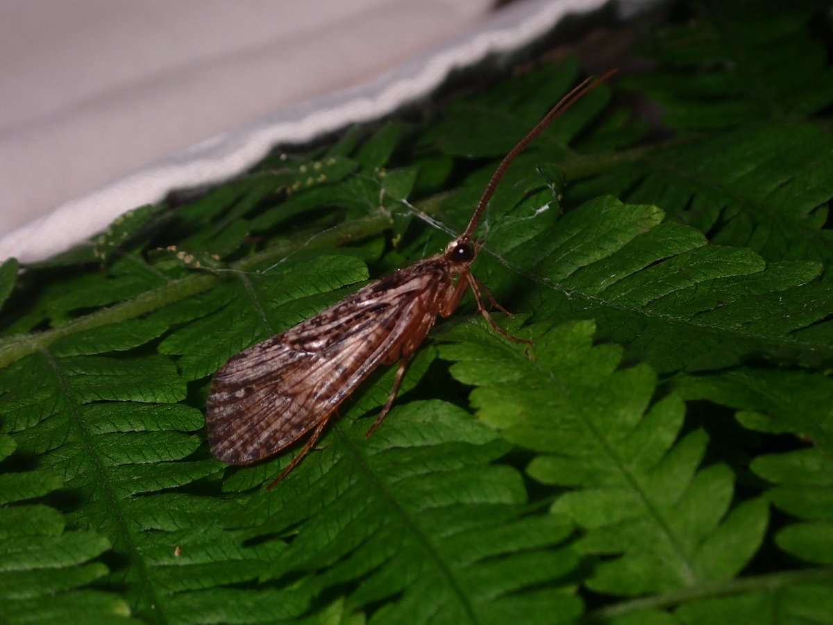 Hunter Stevens tweet media