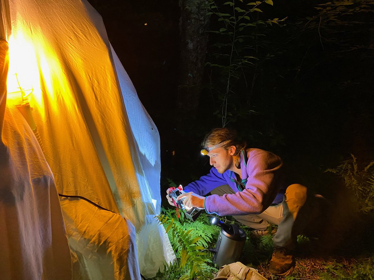 Hunter Stevens tweet media