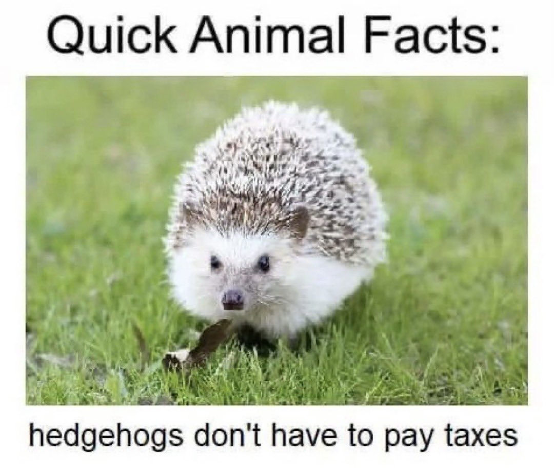 Sniping_Soup's tweet image. did you know this? @SMii7Y