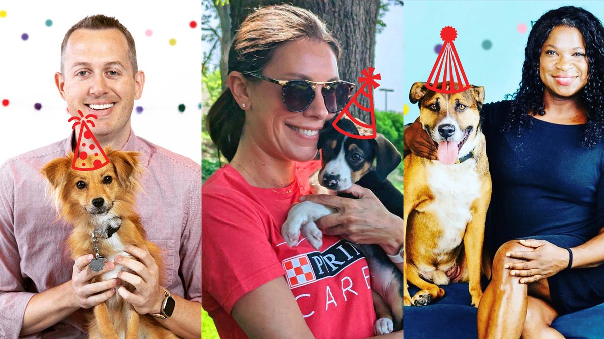Shelter dogs are more than just pets – they’re family. This #Dogust, we’re celebrating some of the amazing rescue pups that bring so much love and loyalty to our Purina team. Happy Universal Shelter Dog Birthday to all of the rescue dogs around the world!