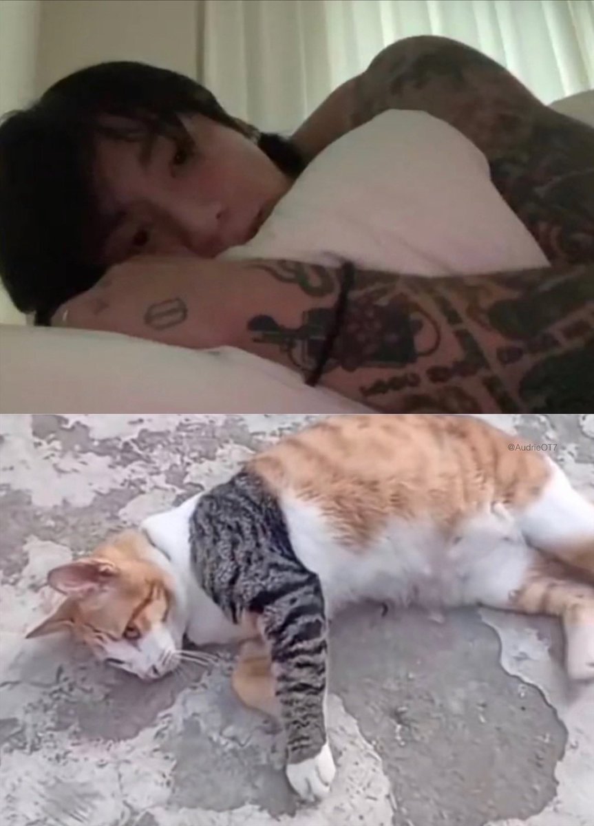 AudrieOT7's tweet image. It’s him 😁