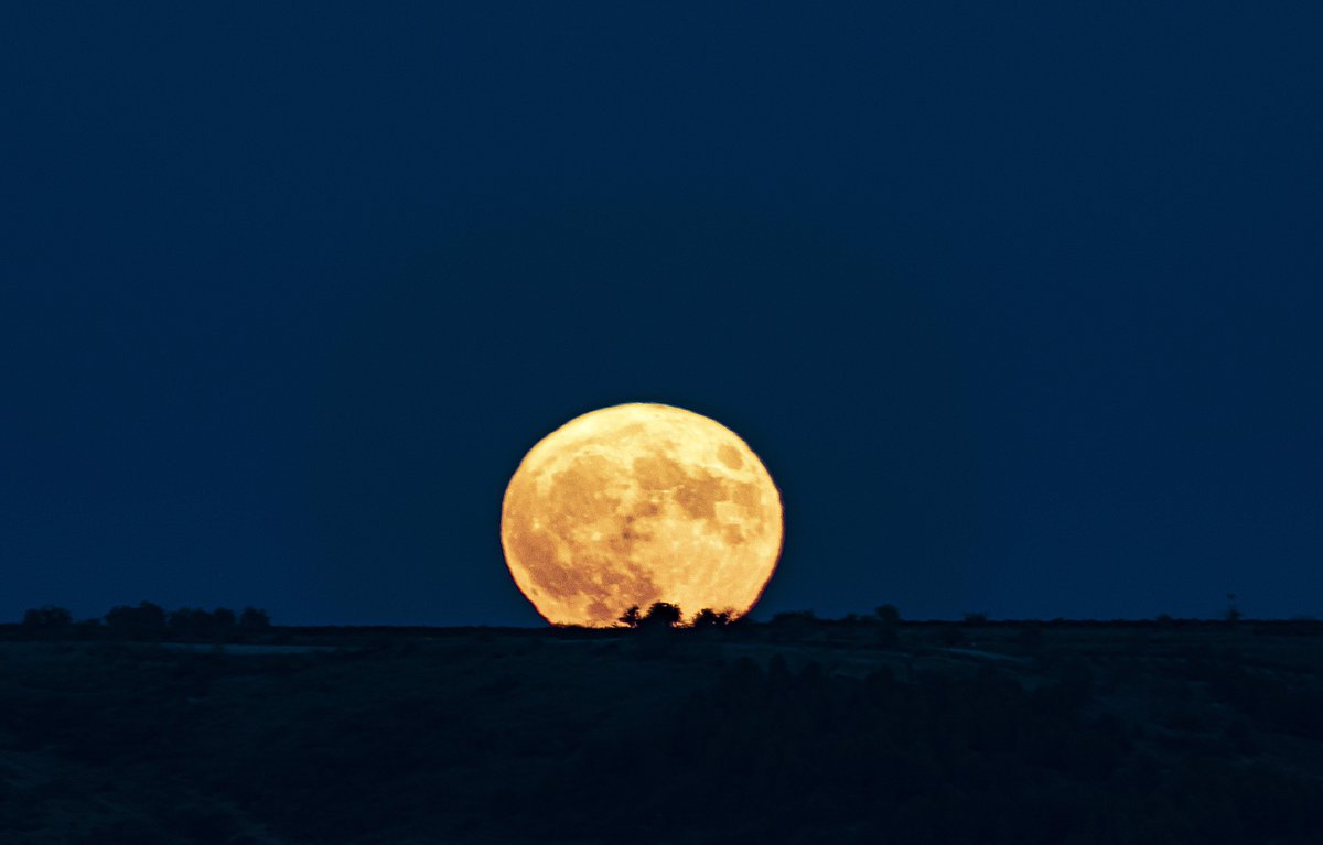 meteosojuela's tweet photo. Salida de la SUPERLUNA riojana,🌝
🌜superluna del Esturión🌛
#luna #LunaLlena #Superluna #esturion https://t.co/BnO9YMLYNG