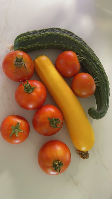 Todays garden stuffs https://t.co/Qe6Pcnz0Fe<a href="/tag/maybloom"class="tags"><span>#maybloom</span></a>