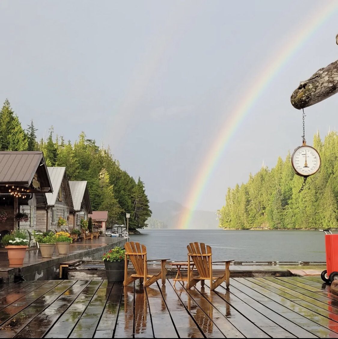 FinnBayLodge's tweet photo. Thank you to our lovely guest Lannie for letting us post this gorgeous picture! 🌈🎣

#RiversInlet #FishingLodge #Fishing #Salmon #Outdoors #Canada #BritishColumbia #FlyFishing #SportFishing #Adventure #Coho #IslanderTR3 #Rainbow #Outdoors https://t.co/IsvTnjDlsO