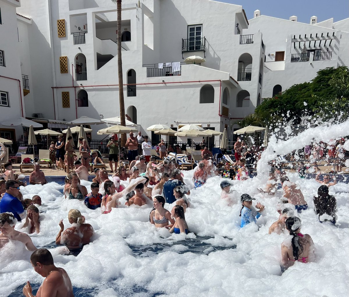 ShannonSwain tweet media