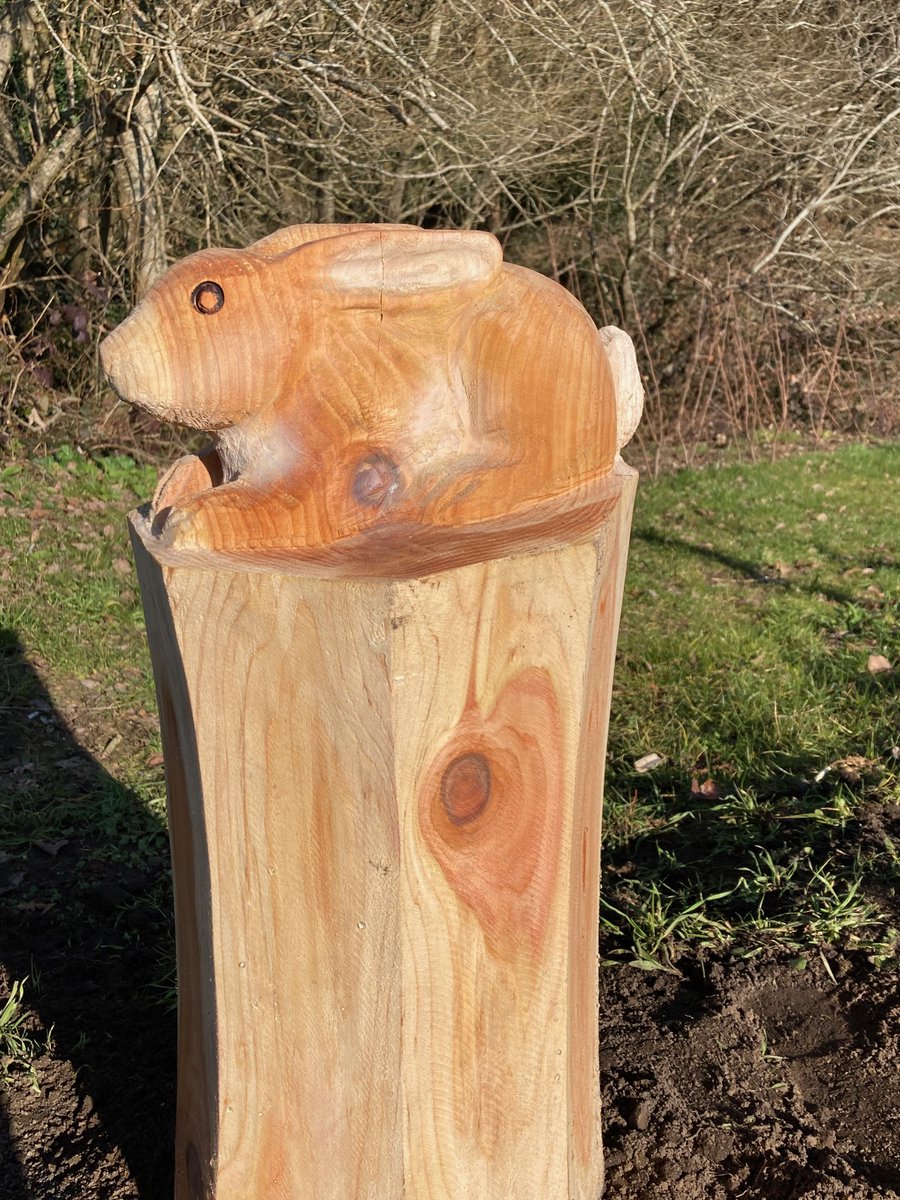HeadleyNature's tweet photo. #Spotted on the #NatureReserve!

A beautifully carved #rabbit. Have you seen it?

Money raised at our local OneStop helped us make our #WildlifeFriends project a reality, thank you to everyone who donated.

#HeadleyDownNatureReserve #HeadleyDown  #WoodCarving #Woodwork #Nature https://t.co/ZxrHISX2y0