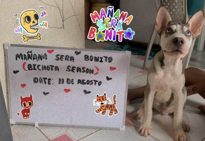 flowgitana's tweet image. LISTOS PARA MAÑANA SERÁ BONITO “BICHOTA SEASON”😎