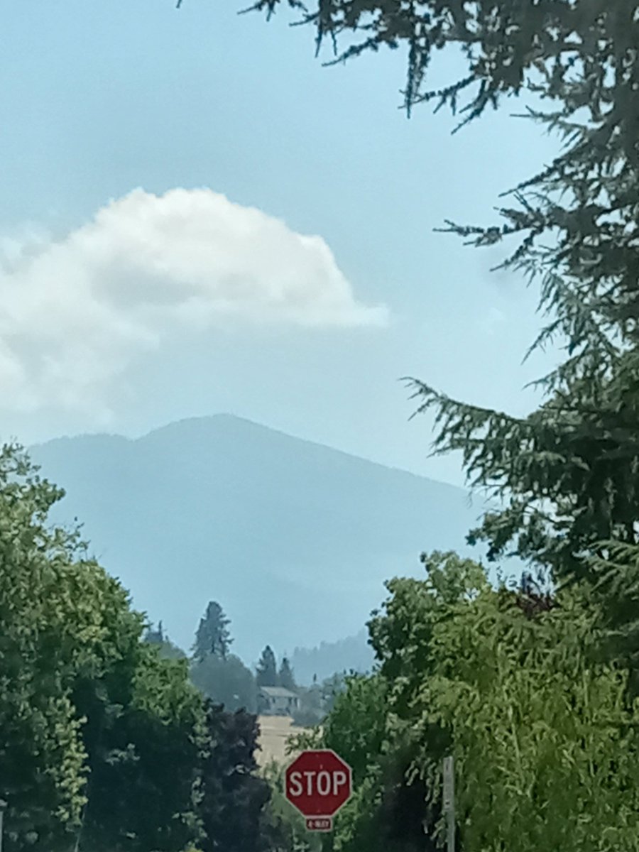 AngelaS_writer's tweet photo. @AuthorMBTosi @deann_native @VClinebarton @MJLaBeff @jgmacleodauthor @emjanerothwell @carolyngrace505 @JoePranaitis @BookDuke @AuthorCynthiaH @Kellyrei007 @SPOFarrell3 @jonathanmeyer_ @RaelleLogan1 @EichinChangLim @MikeSahno @treequeen @Emme_Klama @AmyCaudill10 Thanks so much for the mention! I appreciate you! I hope you have a great rest of the week. #Itookthis https://t.co/gQIwWqS9gb