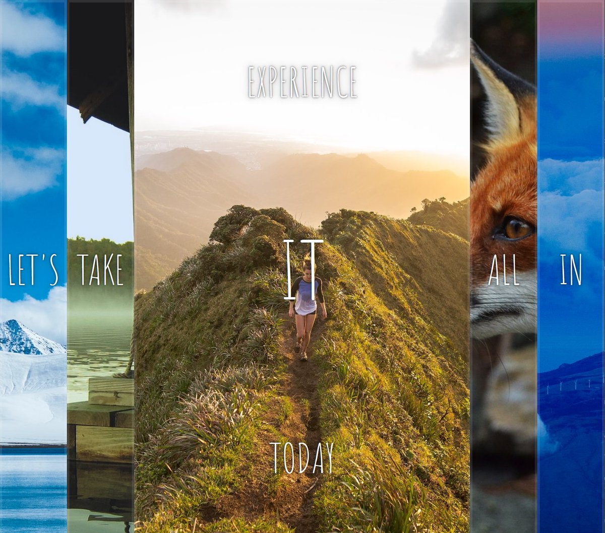JustinVDev's tweet photo. #100DaysOfCode
Day 4! 🫡
Today I finished an @TheOdinProject assignment. I also followed a video by @wesbos to create this interactive flexbox picture gallery. Spending the rest of my night installing @ubuntu . (Something I should have done long ago.)
#jrdev #javascript https://t.co/4p9xgw3Lm6