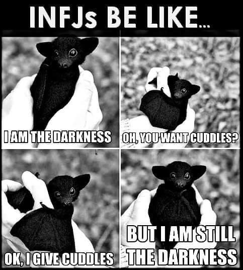 DemonKingGrim's tweet photo. Yup 10000000% https://t.co/KHb6SocXUu