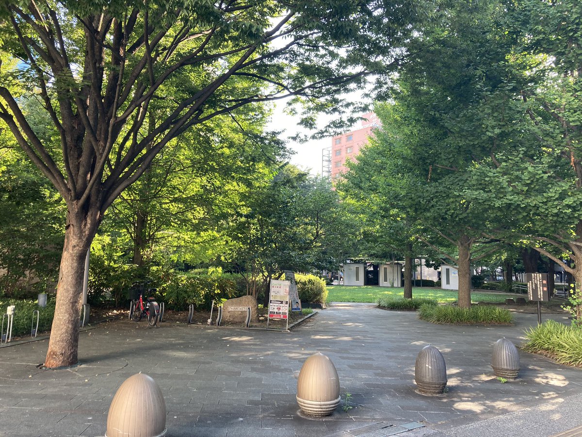 おはようございます。
今朝の花京院緑地です。
#仙台市