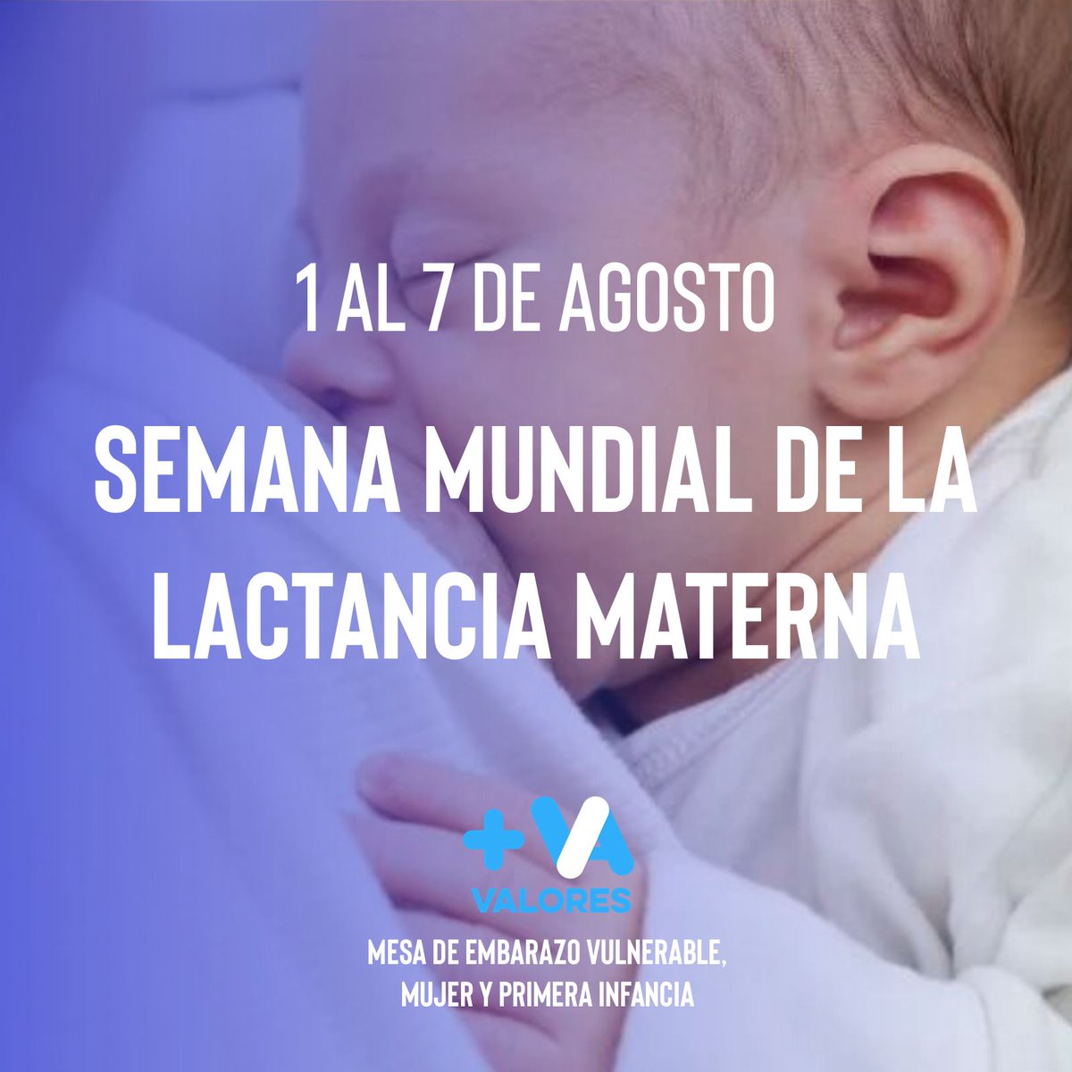 cosechamartucci's tweet photo. https://t.co/zjjWHfmojd